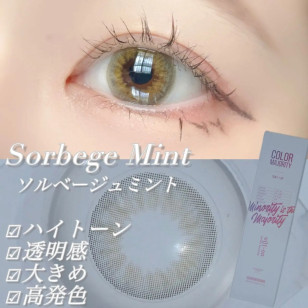 COLOR MAJORITY 1Day Sorbege Mint カラーマジョリティー ソルベージュミント